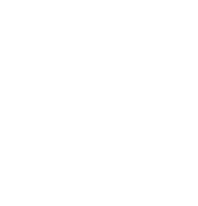 Horse Image